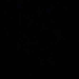 Meet your Posher, Serena